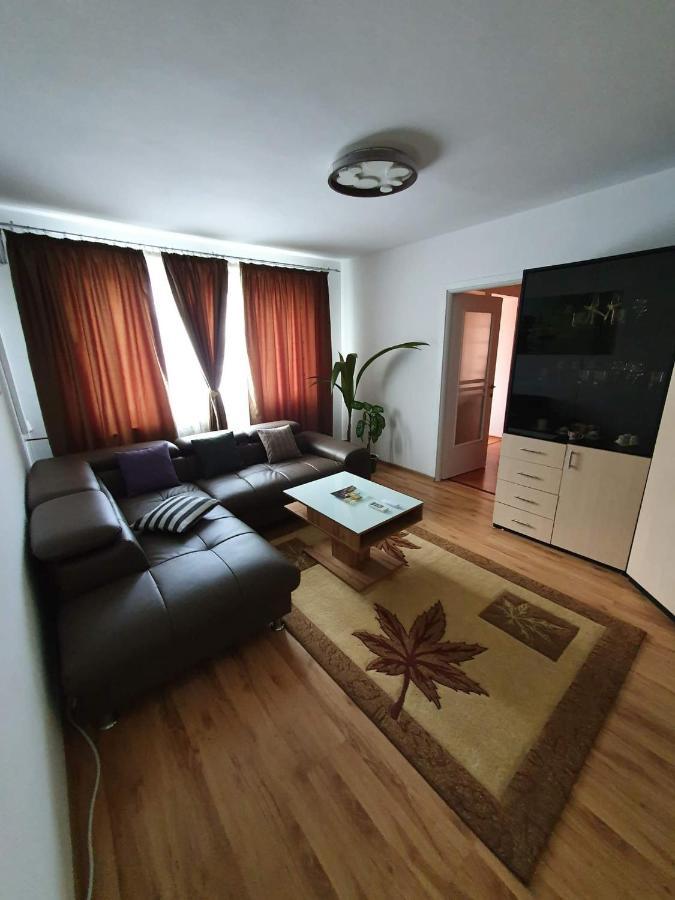 Apartament Cu Regim Hotelier In Dr.Tr. Severin Дробета-Турну-Северин Экстерьер фото